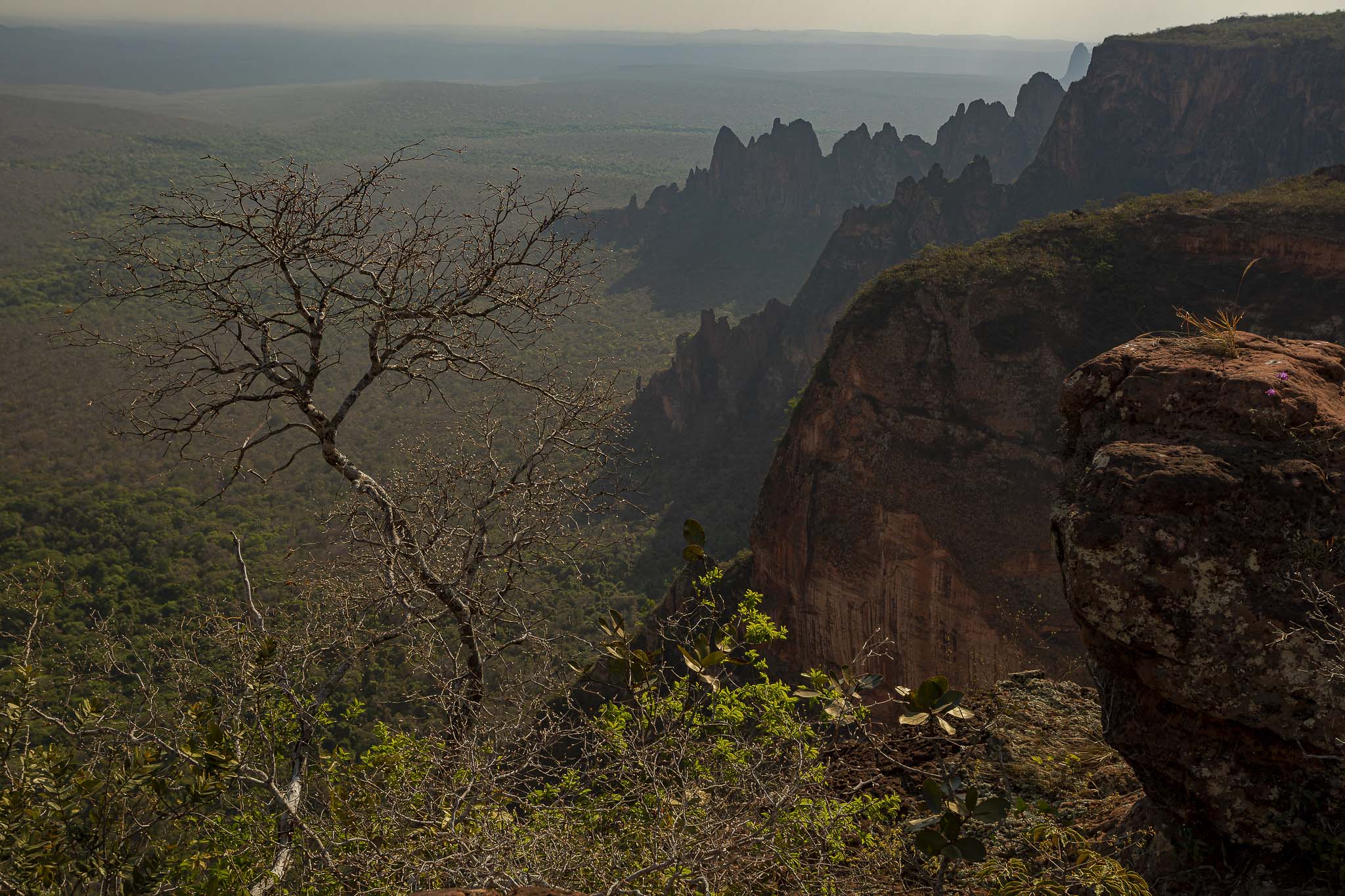 Imagem Expedição Chap Guim - ESEC Serra das Araras--55 da expedição de expedicoes/araras_25